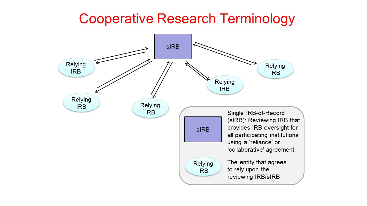 Reviewing and Relying Sites